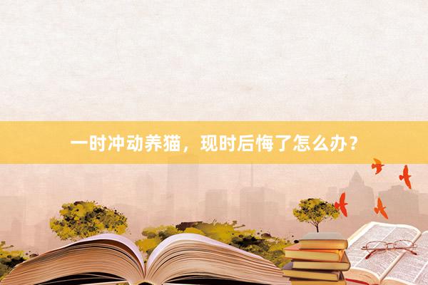 一时冲动养猫,现时后悔了怎么办?